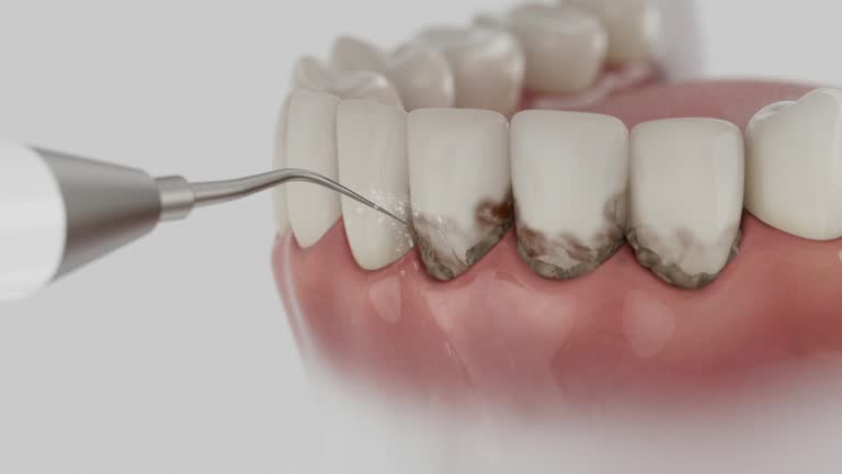 Reliable Dental contractor in Granby, CO by Dentist Open Now